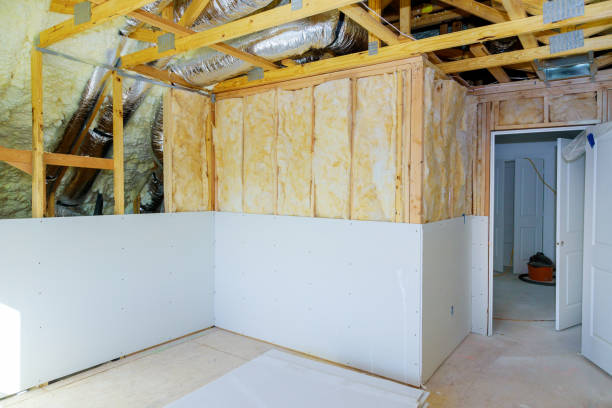 Best Fiberglass Insulation  in Okemos, MI