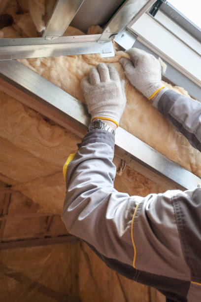 Best Wall Insulation Contractor  in Okemos, MI